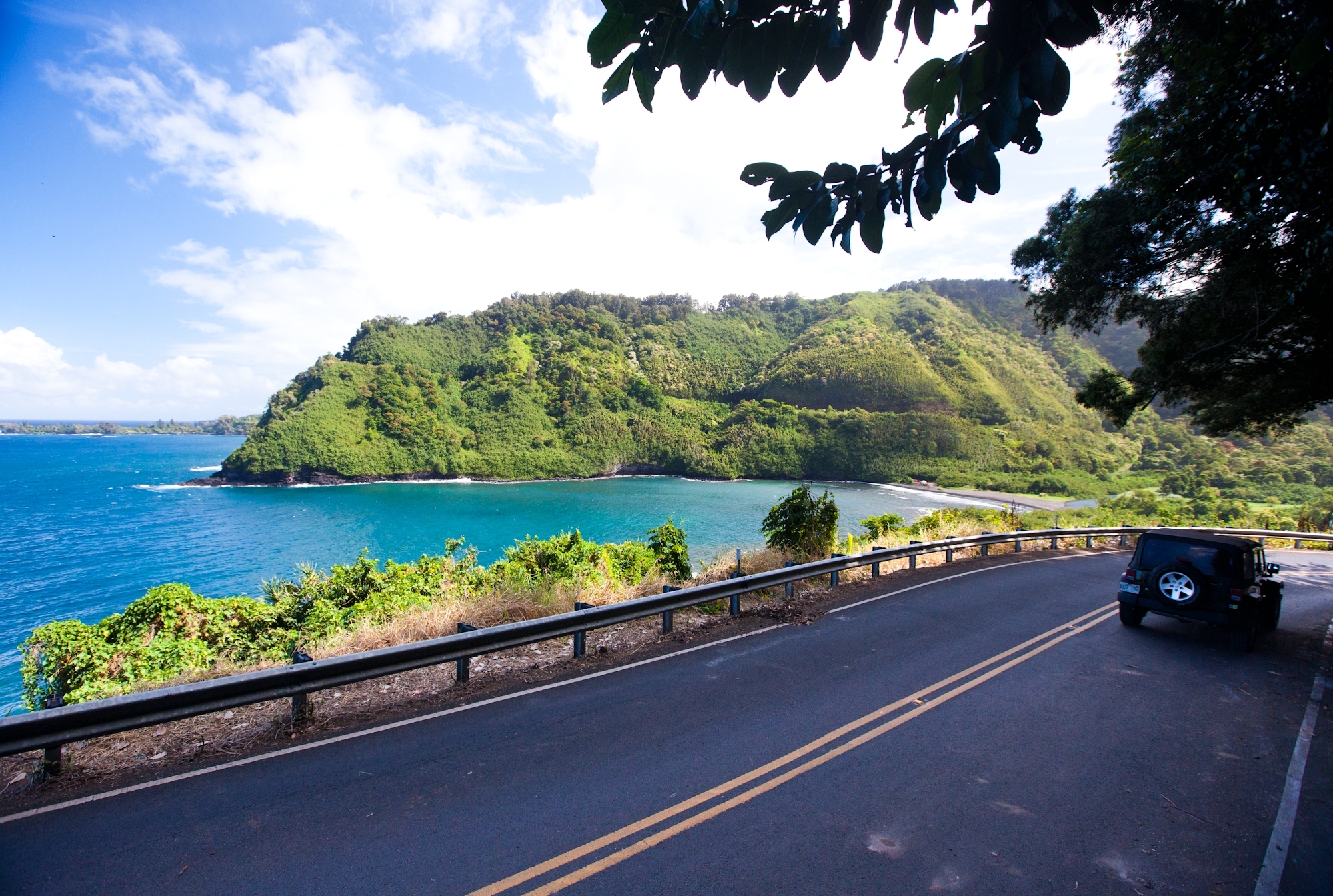 HNL2124.jpg